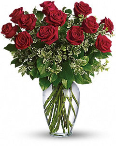 EA 1232 Splendid large red roses with passionate accents